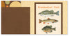 TTB501-Angler Two Page Kit
